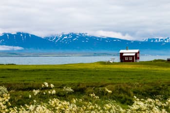 Dalvik