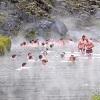 The guide to hot springs in Iceland