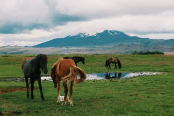 The Hekla Volcano