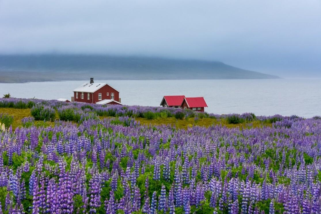 Skálanes Nature Reserve