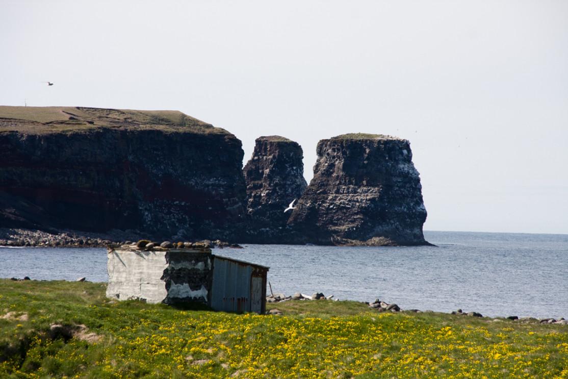 The Rauðinupur Hiking Trail