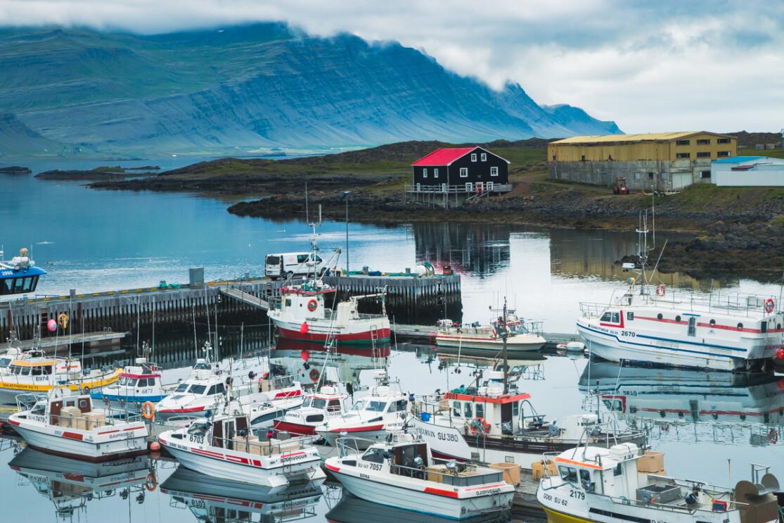 The Guide to the East Fjords of Iceland